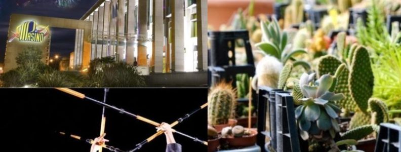 9e6e9 2 3 - Feu d’artifice, vente de plantes, festival… Que faire à Rouen et au Havre ce week-end ? - Revue de presse des artificiers