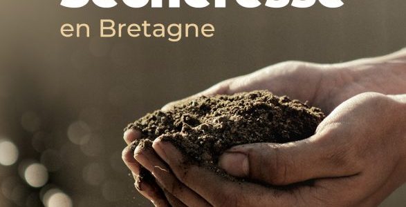 0d331 secheressebretagne - Le Finistère, seul département breton sans feux d'artifice au mois d'août - Revue de presse des artificiers